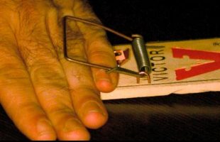 Slow-Mo Hand in MOUSETRAP! … And DONGs