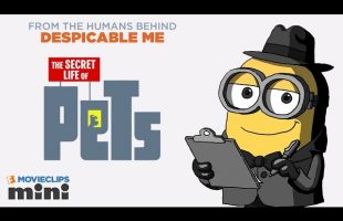 Movieclips Mini: The Secret Life of Pets – Brian the Minion (2015) Minion Movie HD